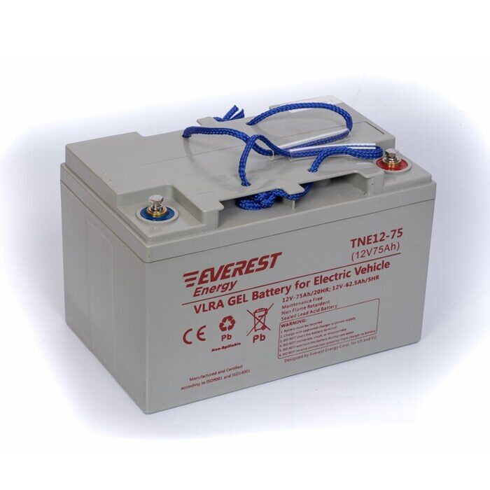 Everest Energy TNE-12-75 / 6-EVF-60 — аккумулятор