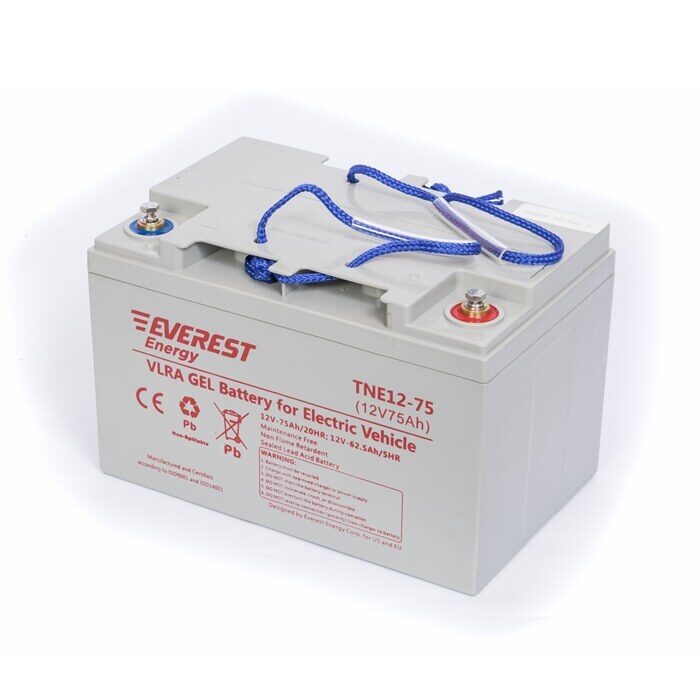 Everest Energy TNE-12-75 / 6-EVF-60 — аккумулятор фото 2