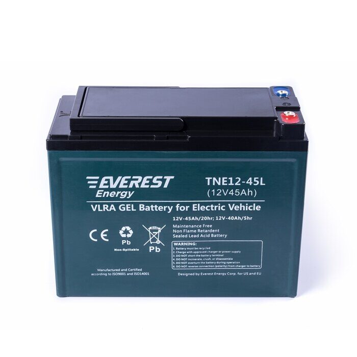 Everest Energy TNE12-45L / 6-EVF-38 — аккумулятор