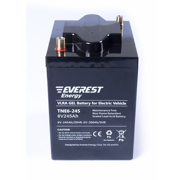 Everest Energy TNE6-245 6V 200Ah C5 — аккумулятор